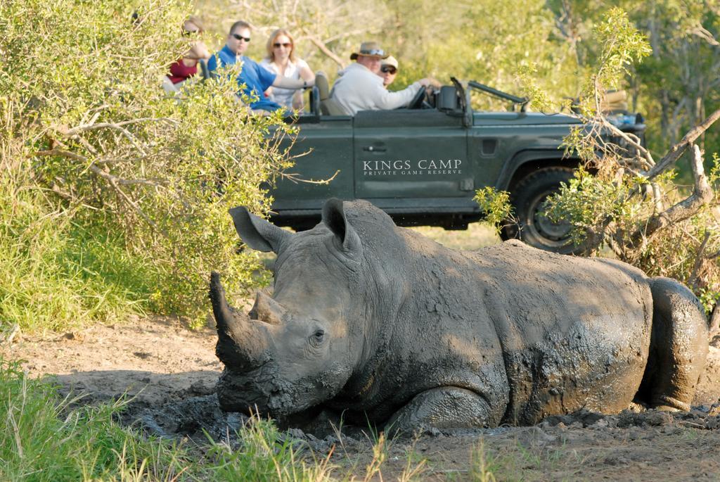 Kings Camp Villa Timbavati Game Reserve Exterior photo