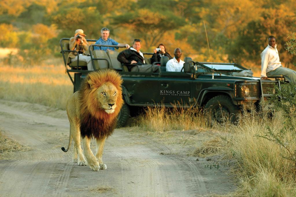 Kings Camp Villa Timbavati Game Reserve Exterior photo