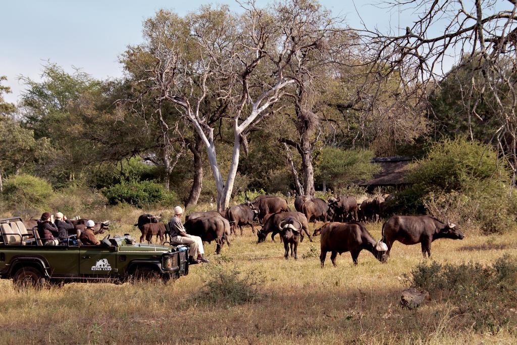 Kings Camp Villa Timbavati Game Reserve Exterior photo