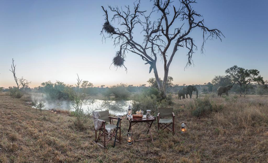 Kings Camp Villa Timbavati Game Reserve Exterior photo